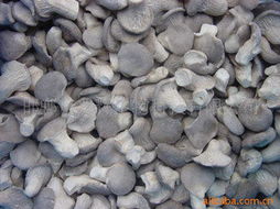 邯鄲市兆輝生物科技 深耕生物技術開發，打造多元化高品質食用菌產品矩陣